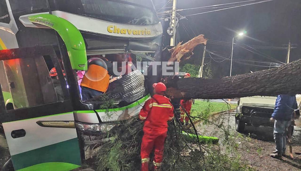Chofer de bus resulta herido tras quedar atrapado entre los fierros luego de chocar contra un árbol