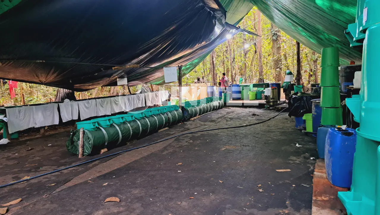 Siete aprehendidos tras operativo antidrogas en el trópico de Cochabamba