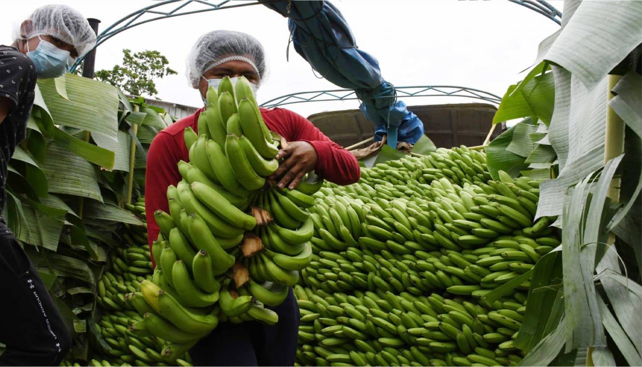 Bolivia registra una balanza comercial negativa de $us 329 millones al tercer trimestre del año