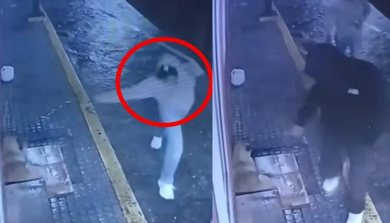 Imágenes sensibles: Un hombre lanza una botella de vidrio contra un perro en la calle 
