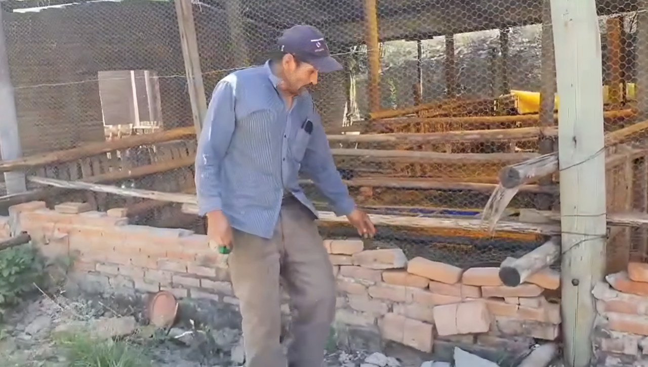 “Rompieron la malla”: 21 cabras lecheras fueron devoradas por una jauría en Sucre 