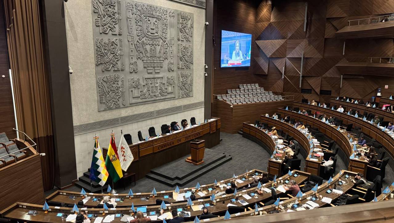 Cámara de Diputados trata ley para “restituir derechos” de militares y policías dados de baja por la crisis de 2019