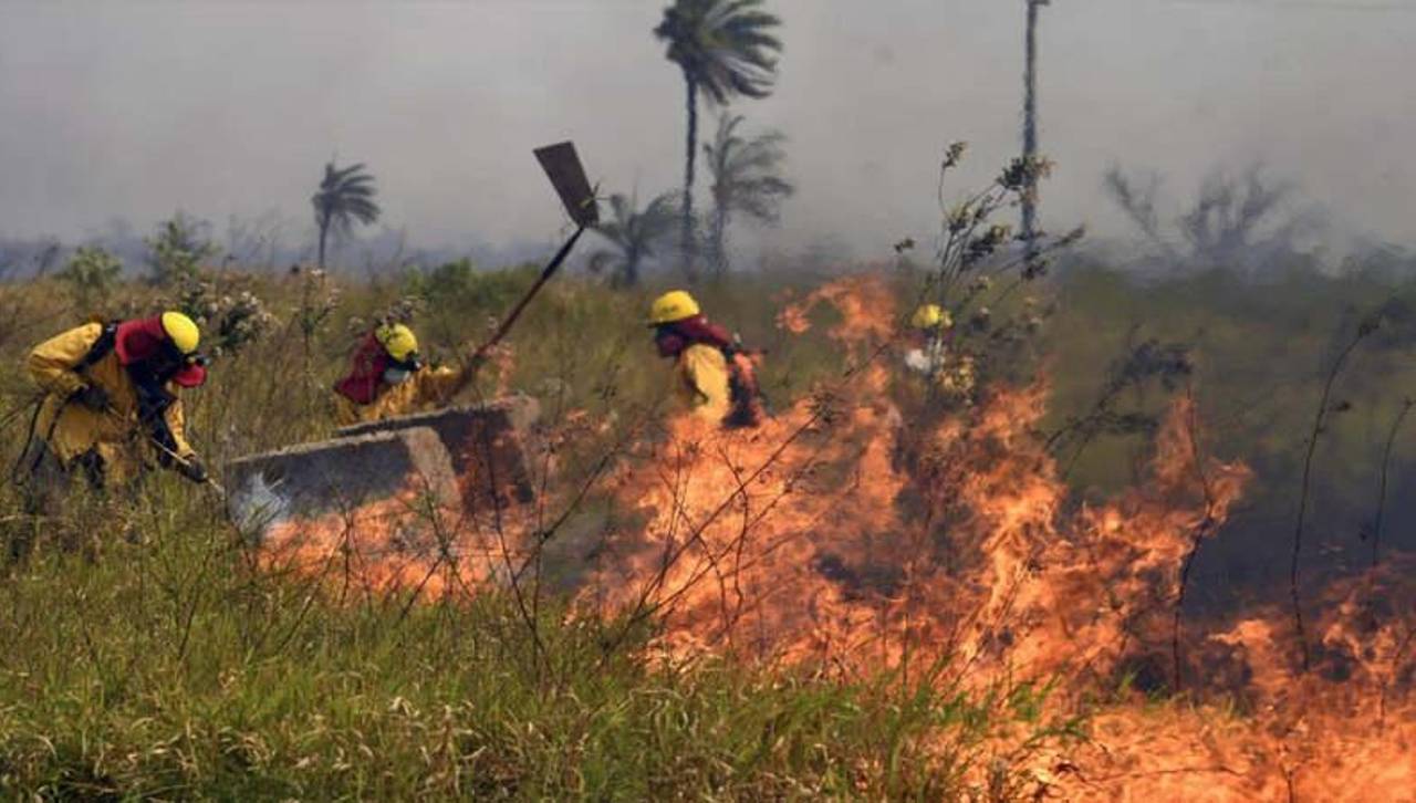 Suman ocho incendios activos en Santa Cruz y buscan intervenir por aire en un área protegida de Concepción