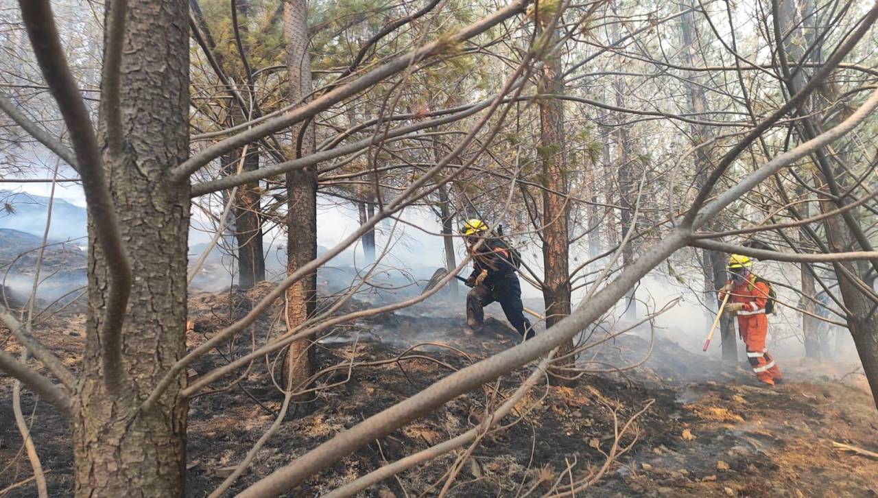 SAR - Bolivia: El trabajo de los bomberos “no se aprende con un curso básico de 10 horas”