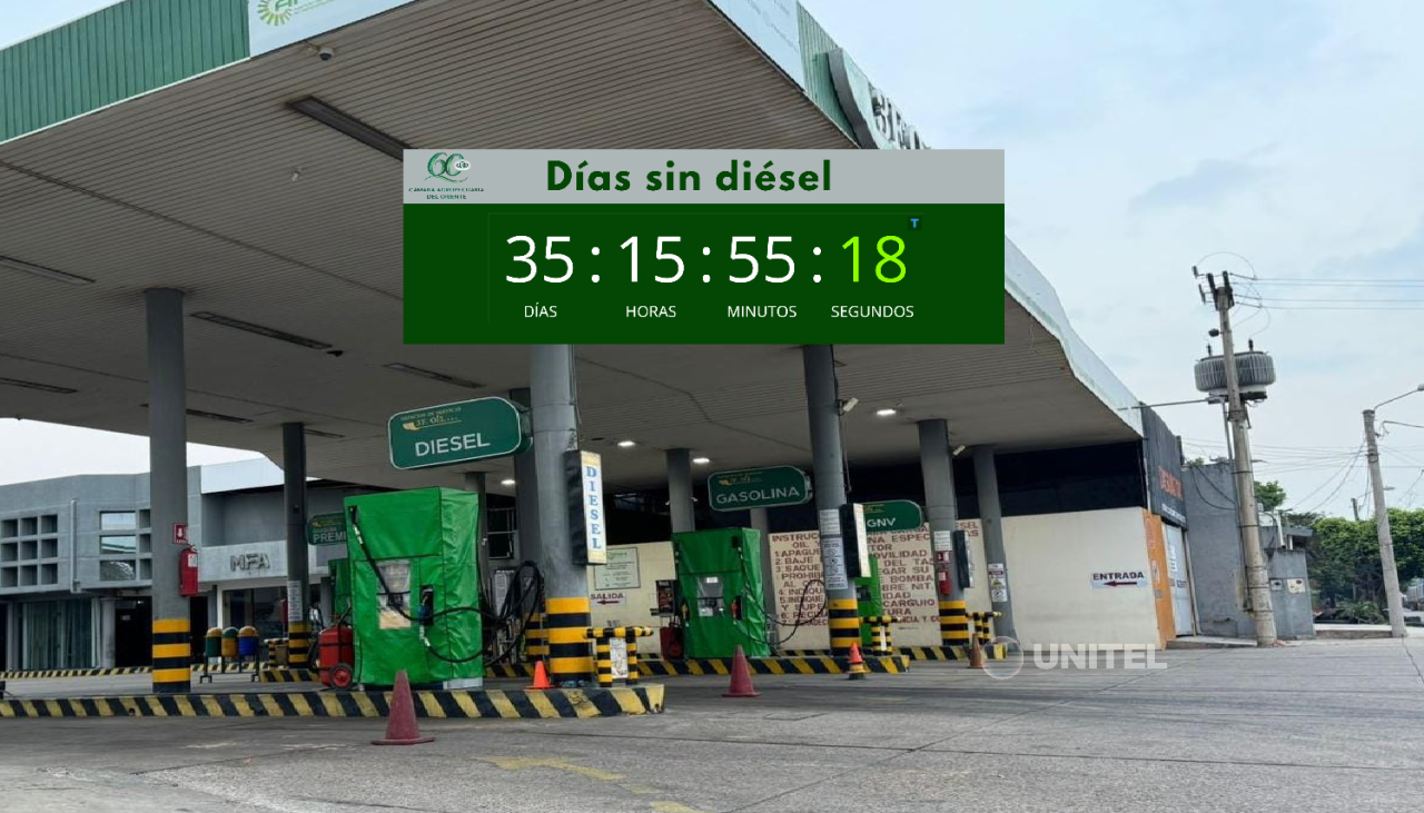 “35 días sin diésel”: Lanzan un contador que muestra en tiempo real cuánto lleva el desabastecimiento