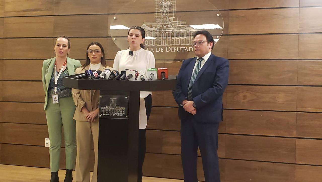 Crédito japonés de $us 100 millones será destinado a proyectos de salud, dice vicepresidenta de diputados