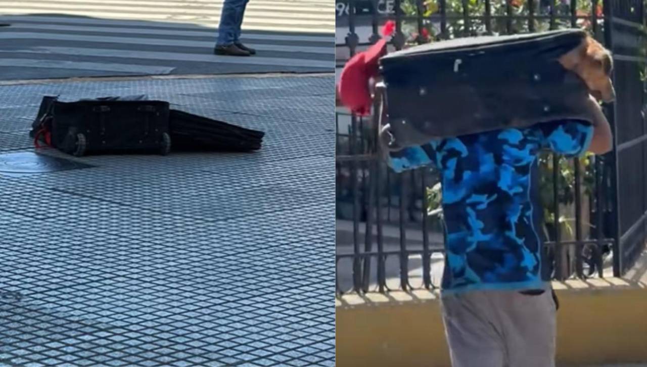 La conmovedora historia de Ramón, un perro rescatado de dentro de una maleta, que emociona en las redes sociales