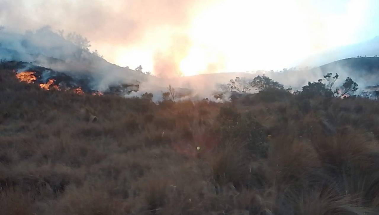 Falta de diésel complica a sectores y la lucha contra incendios; surgen críticas al descargo del Gobierno