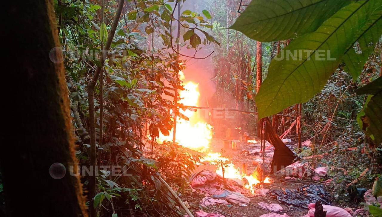 Incineran 46 fábricas de droga y aprehenden a 11 personas en operativos en el trópico