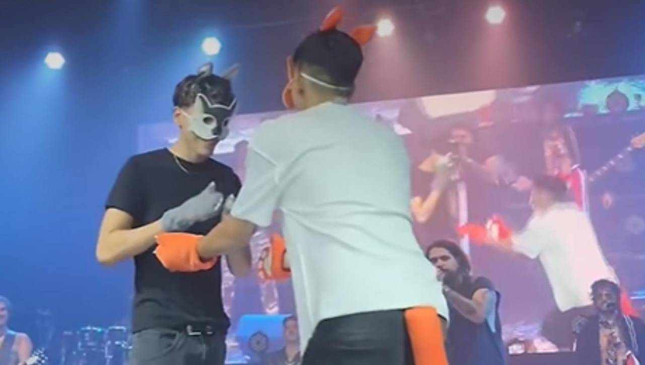 Video: Jóvenes therians sorprenden con pedida de mano en concierto