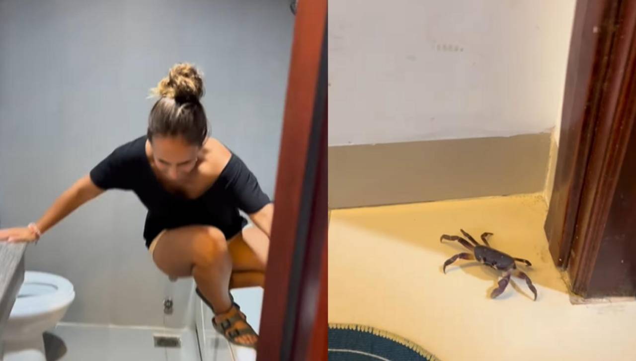 El inesperado acompañante que una pareja tuvo en un hotel