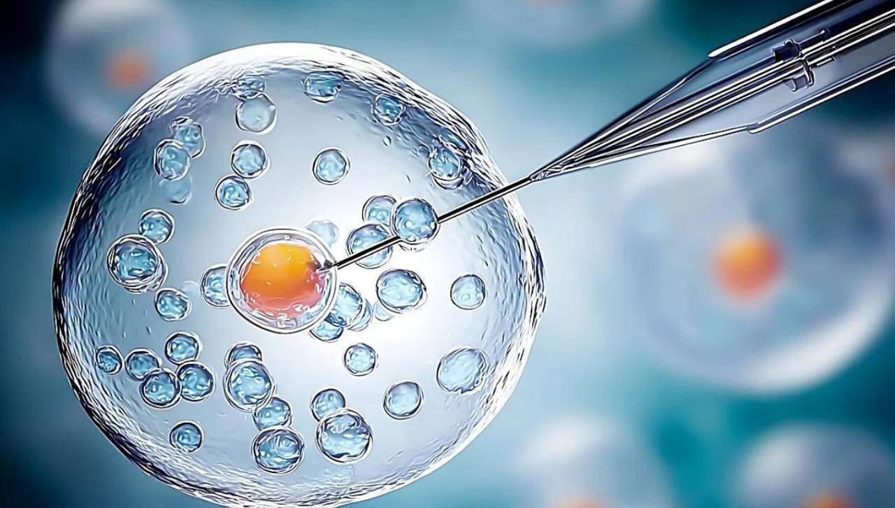 Donante de esperma transmitió un gen cancerígeno a casi 200 niños, algunos ya han muerto