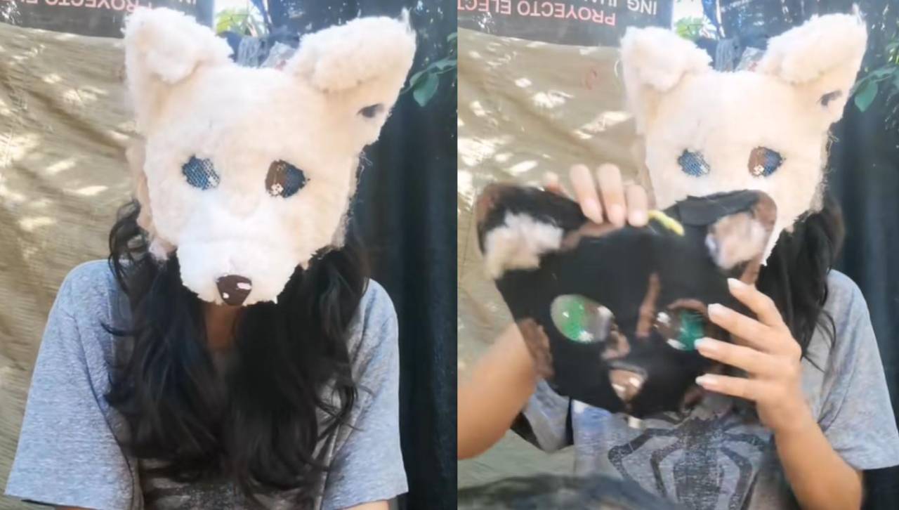 Video: boliviana que se identifica como zorro ártico explica el significado de ser therian 