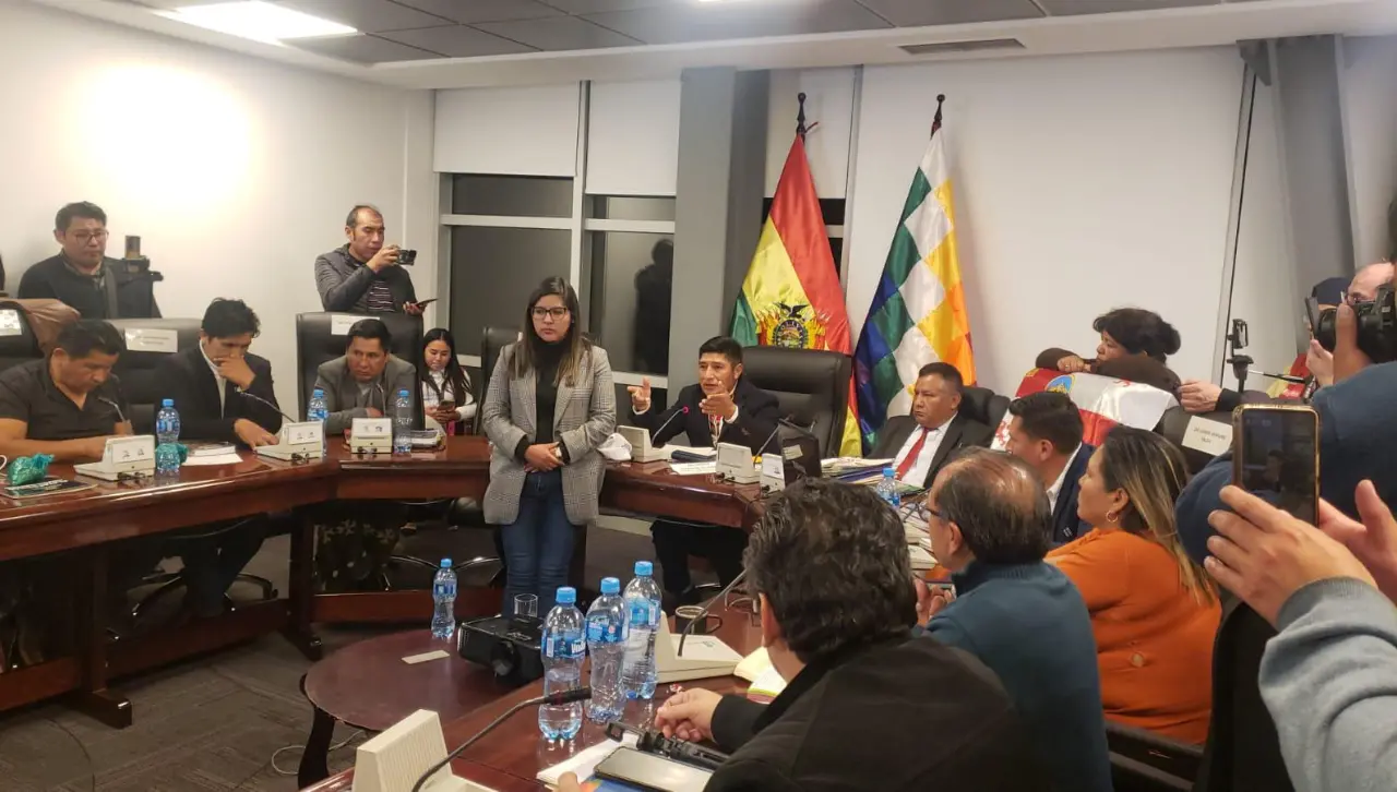 Comisión de Diputados entra en cuarto intermedio, sin fecha ni hora, para tratar el contrato de litio con empresa rusa