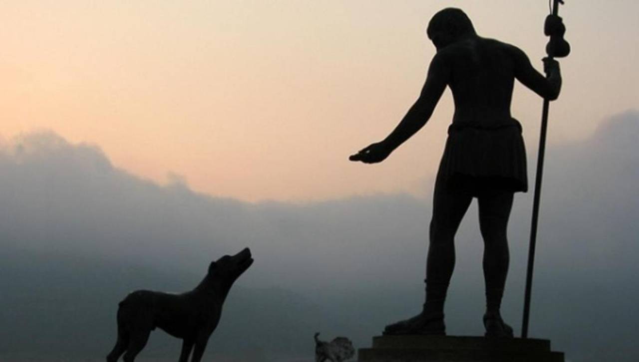 San Roque: el día en que se celebra a los fieles compañeros de cuatro patas