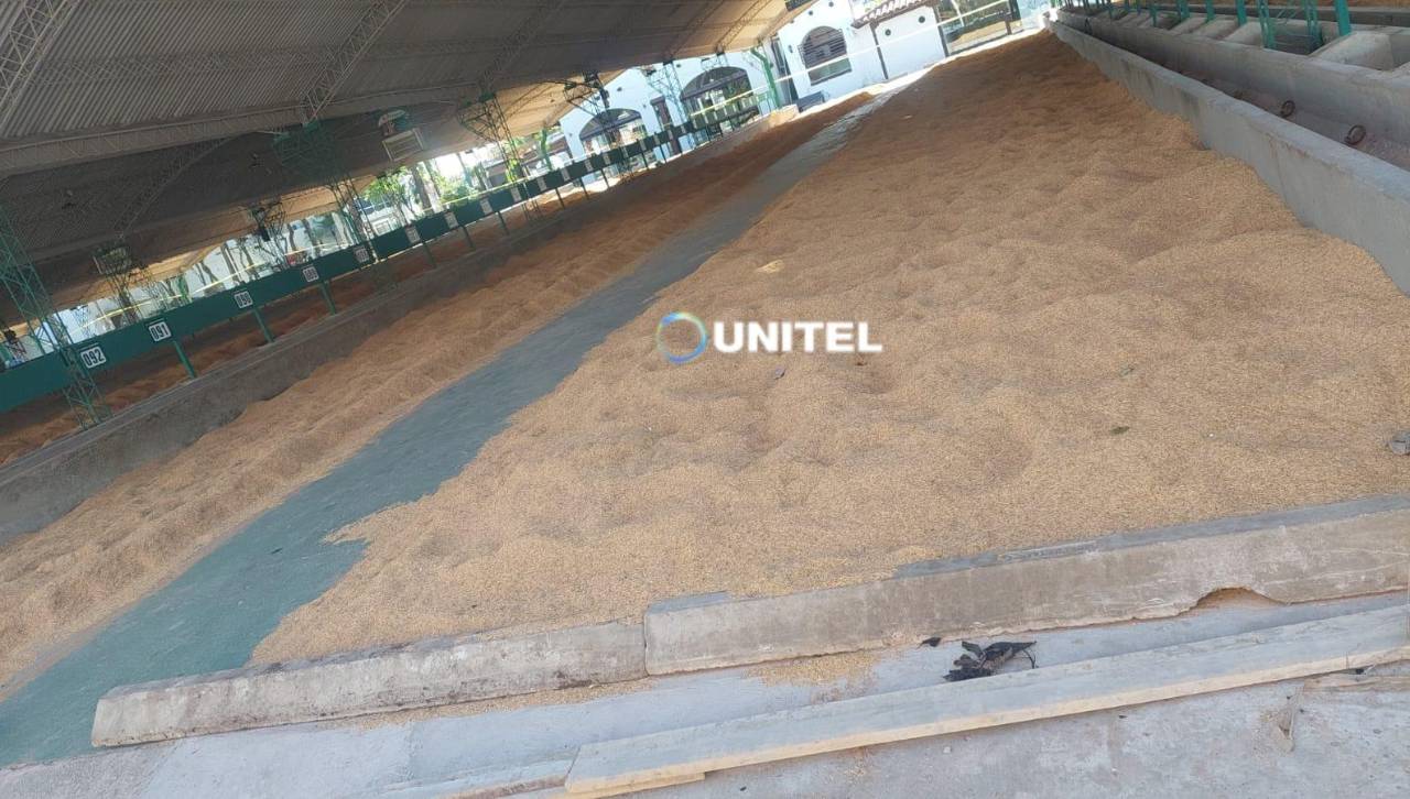 Este miércoles se inicia el ingreso de ganado al campo ferial a 10 días de Expocruz