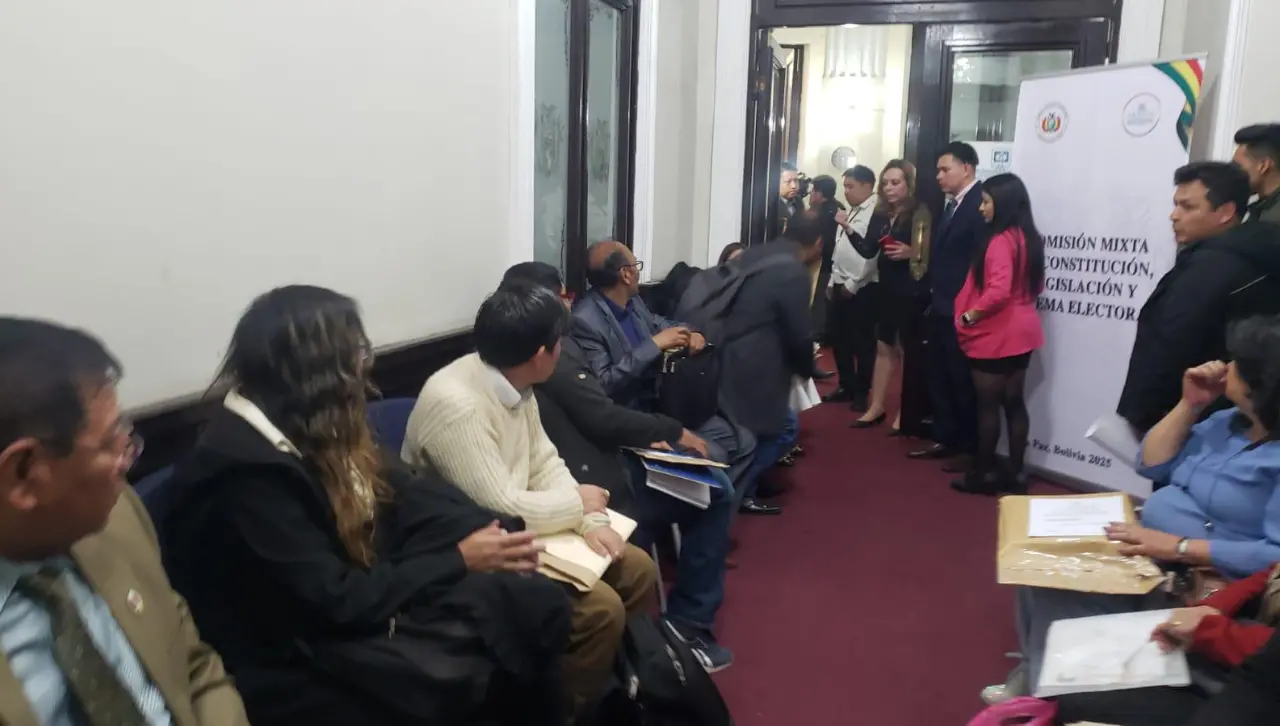 Periodistas, una exdiputada, dos vocales departamentales y un funcionario edil entre los postulantes al TSE