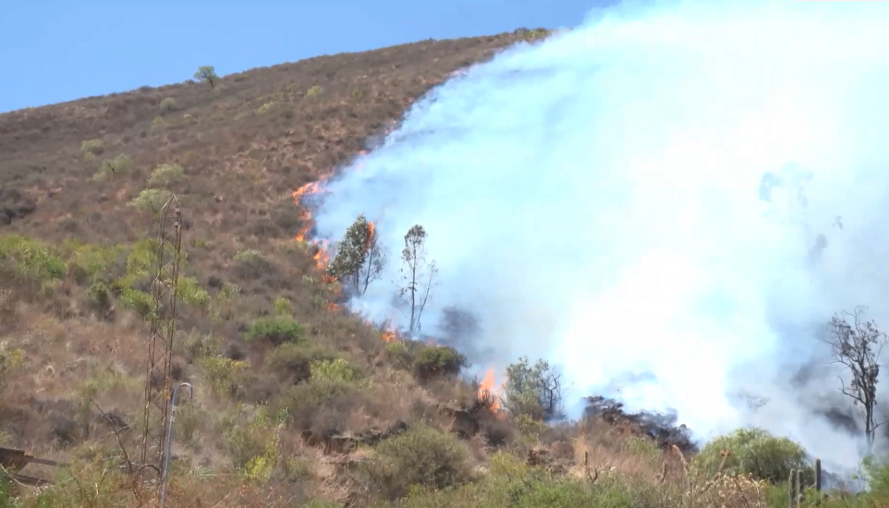 Desde el domingo, cuatro incendios forestales afectaron más de 2.300 hectáreas en Cochabamba