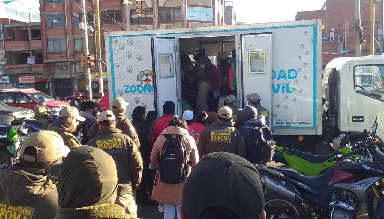 Los vendían en la Feria 16 de Julio: Rescatan a más de 50 mascotas que eran expuestas como mercancía