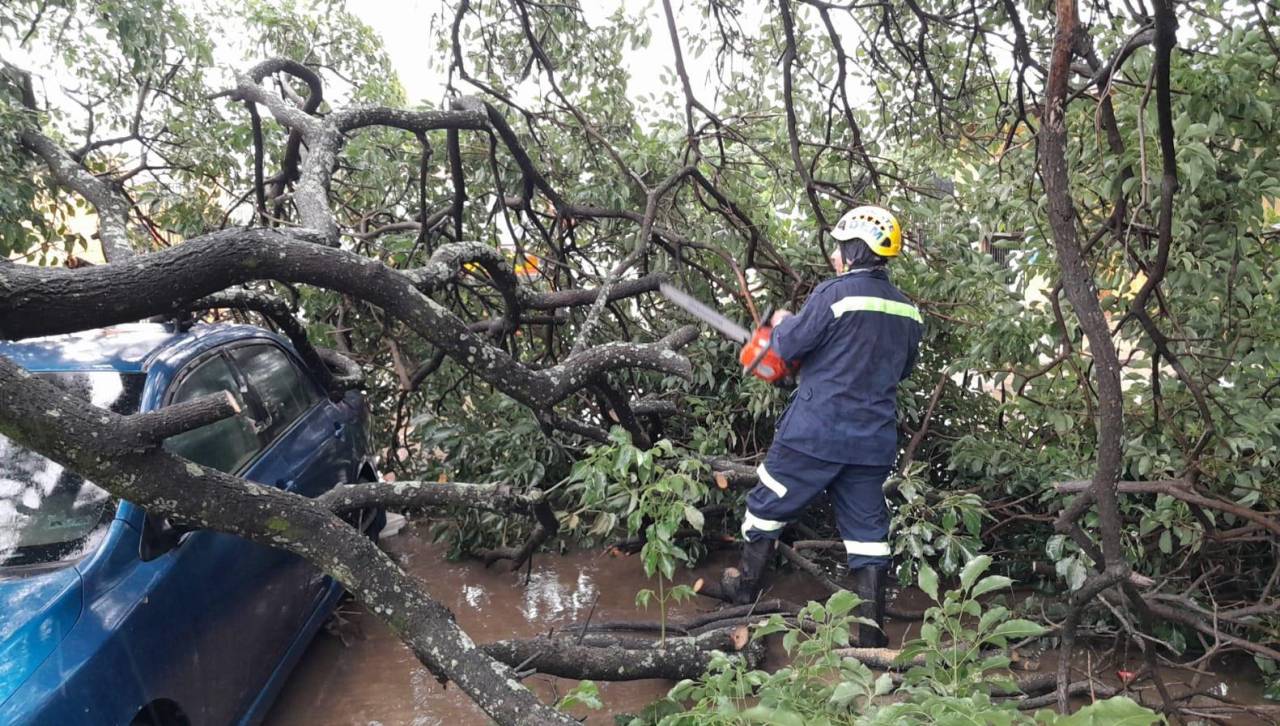 Árboles caídos y calles anegadas, el resultado de un sábado lluvioso en Santa Cruz