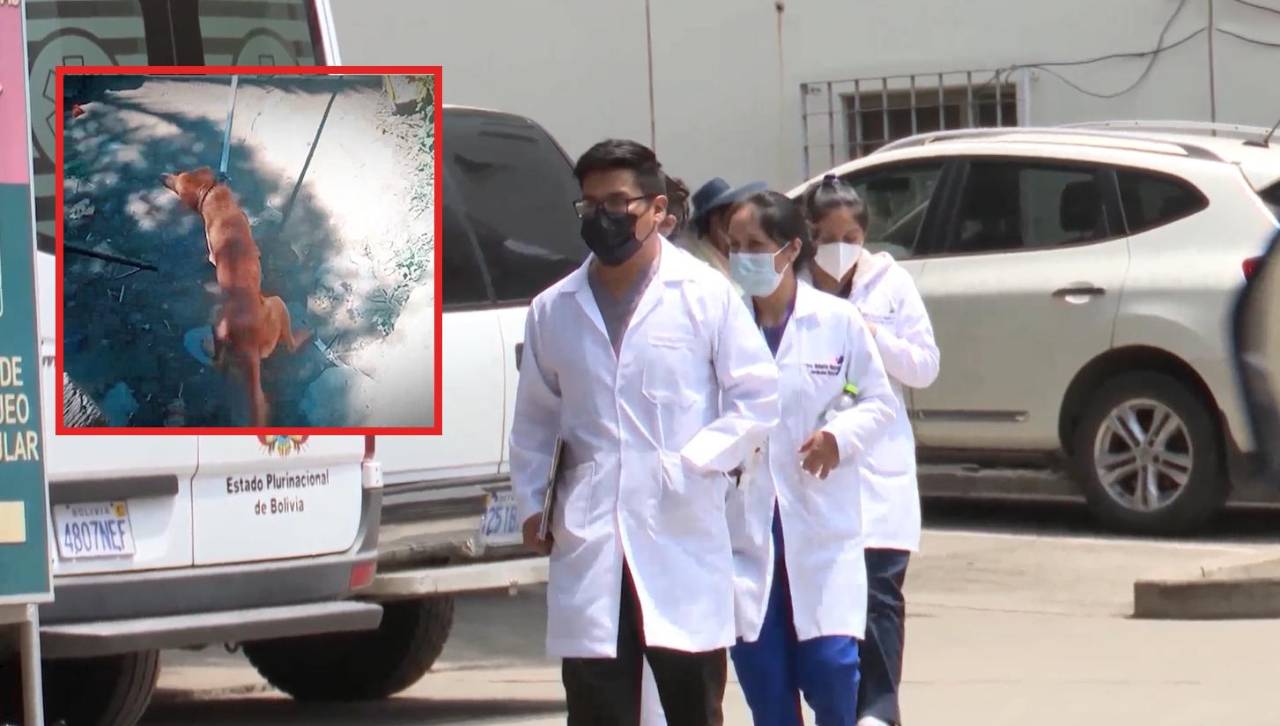 Alcaldía de Vinto señala que perro con rabia mordió a 14 personas y casi 100 mascotas