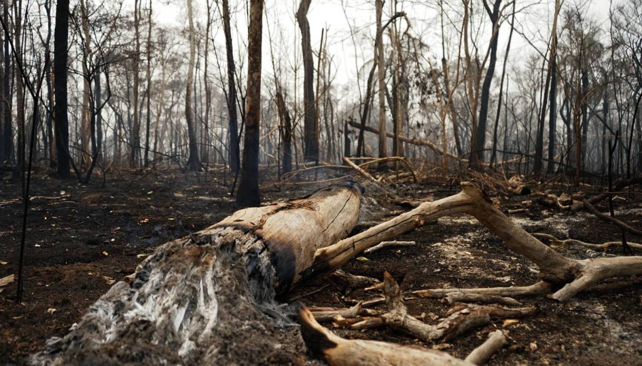 Se prevé el ingreso de una nueva ola de calor y vientos fuertes en Santa Cruz ¿Desde cuándo?