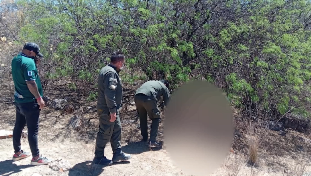 Hallan un cuerpo decapitado y en estado de descomposición escondido entre matorrales