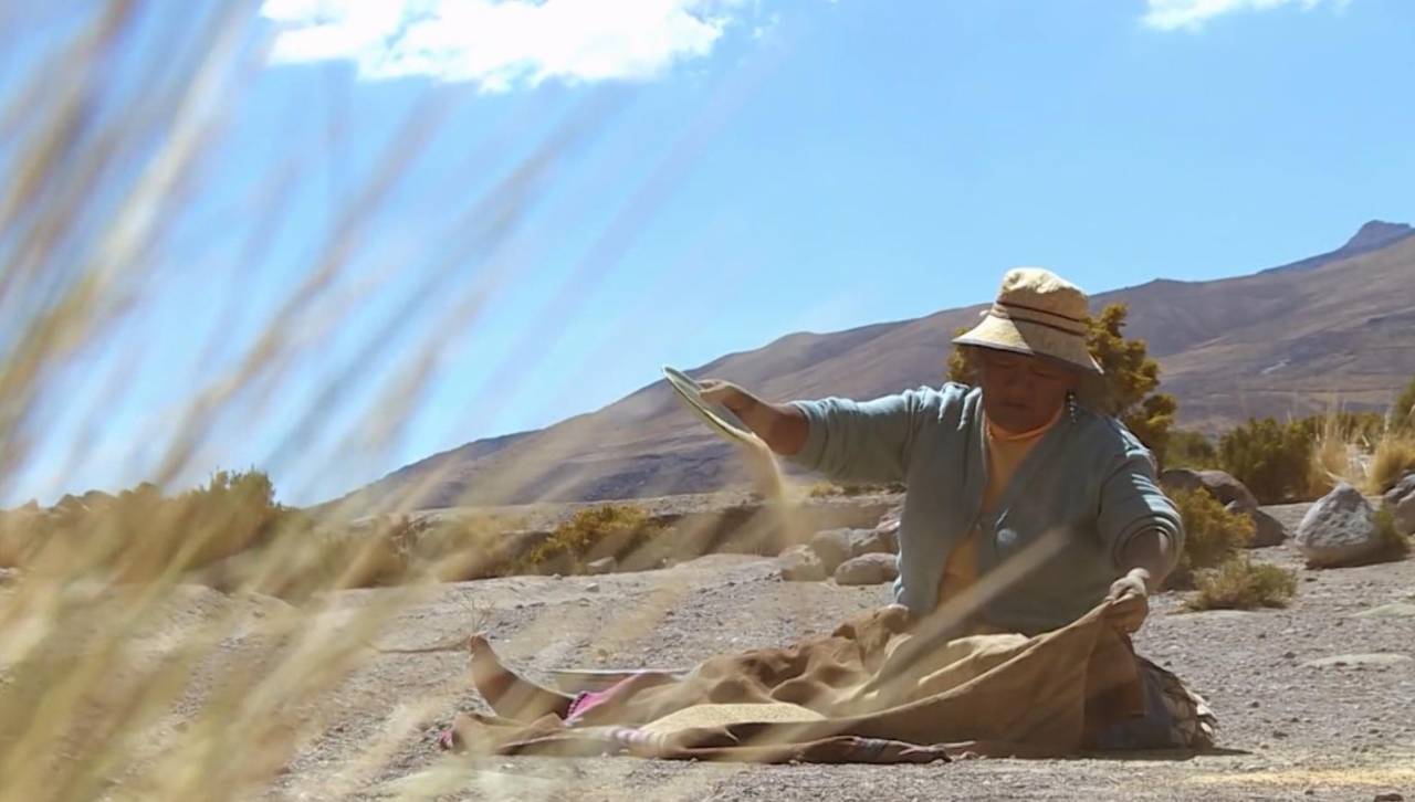 ¿Puede la ley de conversión de pequeña a mediana propiedad impulsar el desarrollo? Esto dice un economista