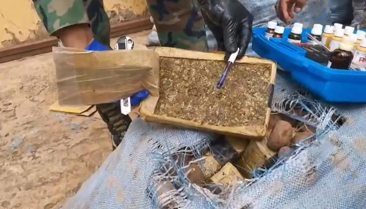 80 paquetes de marihuana son hallados en sacos de papa en la terminal de buses de Pando, reporta la Policía 