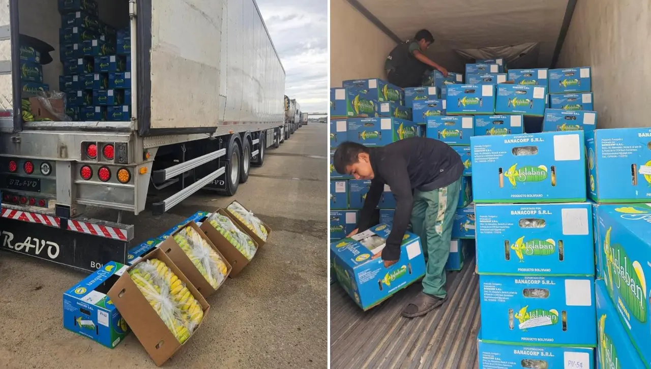Bloqueos paralizan exportación de banano; productores liquidan su producción en la carretera