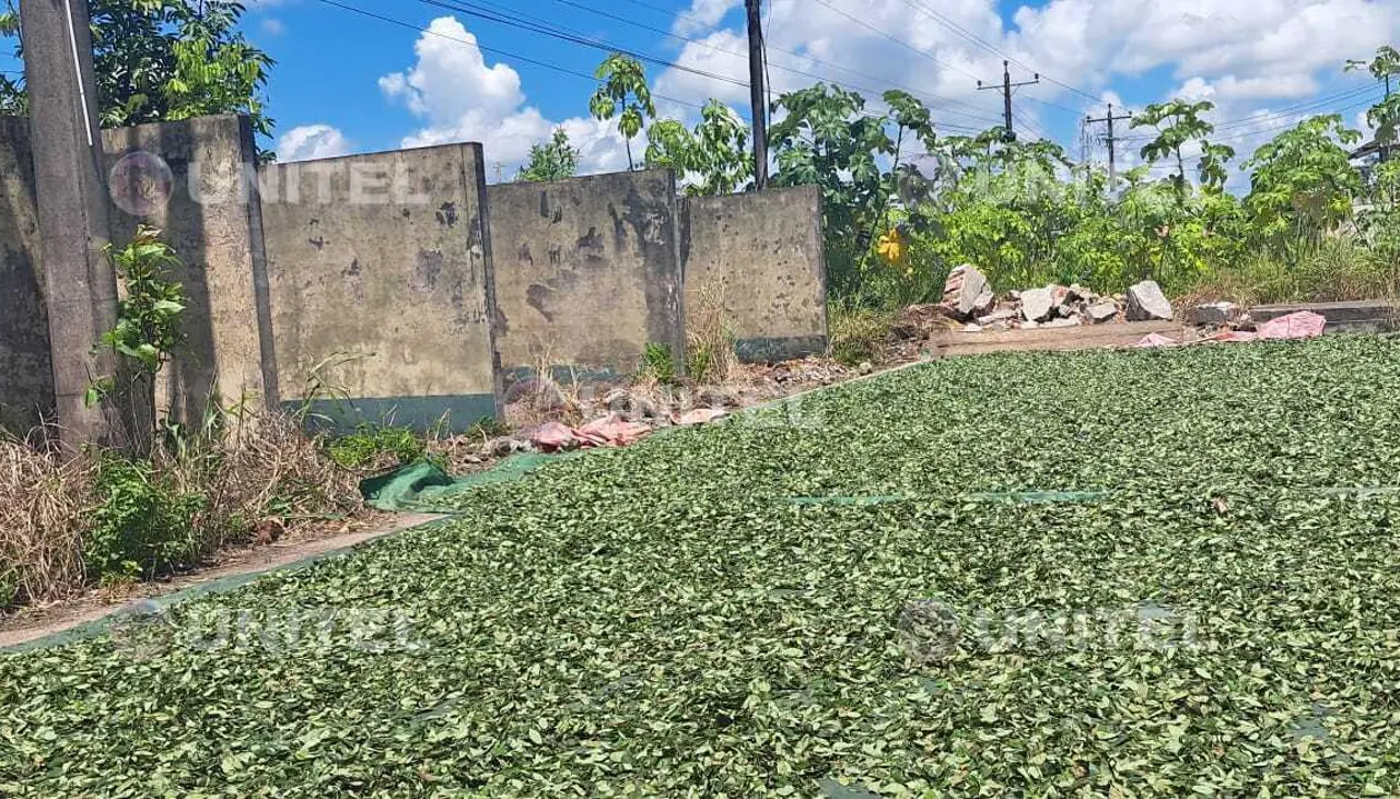 Video: las exinstalaciones del cuartel de Umopar en Bulo Bulo son usadas para secar coca