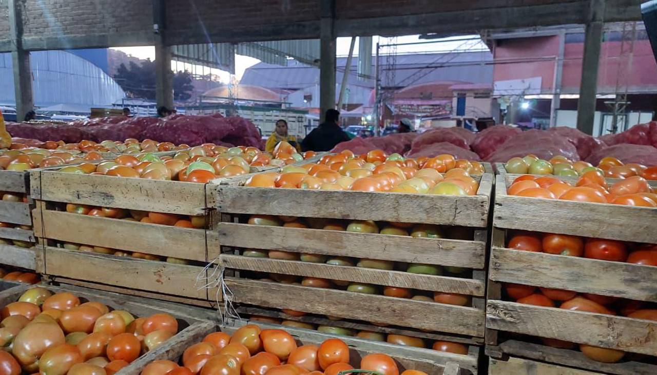 La caja de tomate subió al menos Bs 20 en mercados de Cochabamba y comerciantes lo atribuyen a la falta de diésel