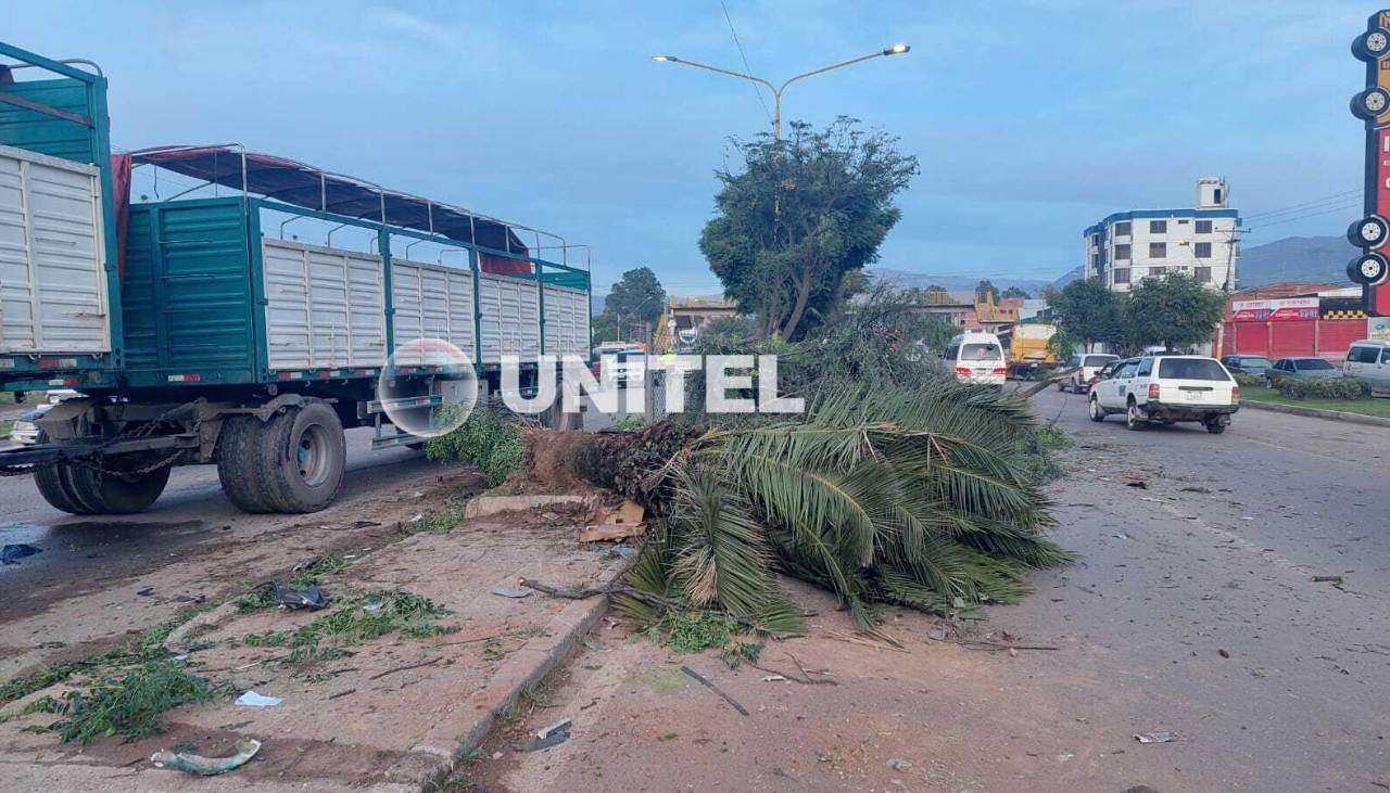 Choque entre un tráiler y una camioneta deja daños en árboles y la jardinera central de la avenida Blanco Galindo
