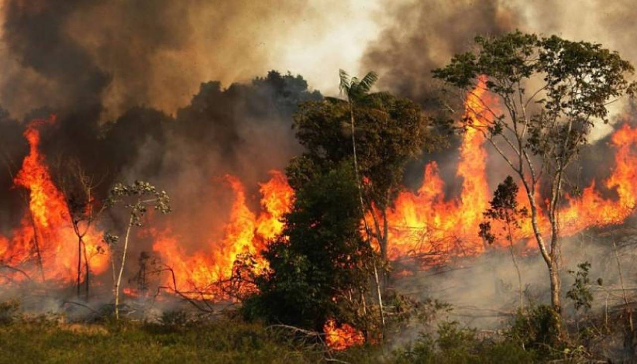 Incendios forestales en Perú dejan un fallecido y 16 intoxicados en el norte del país