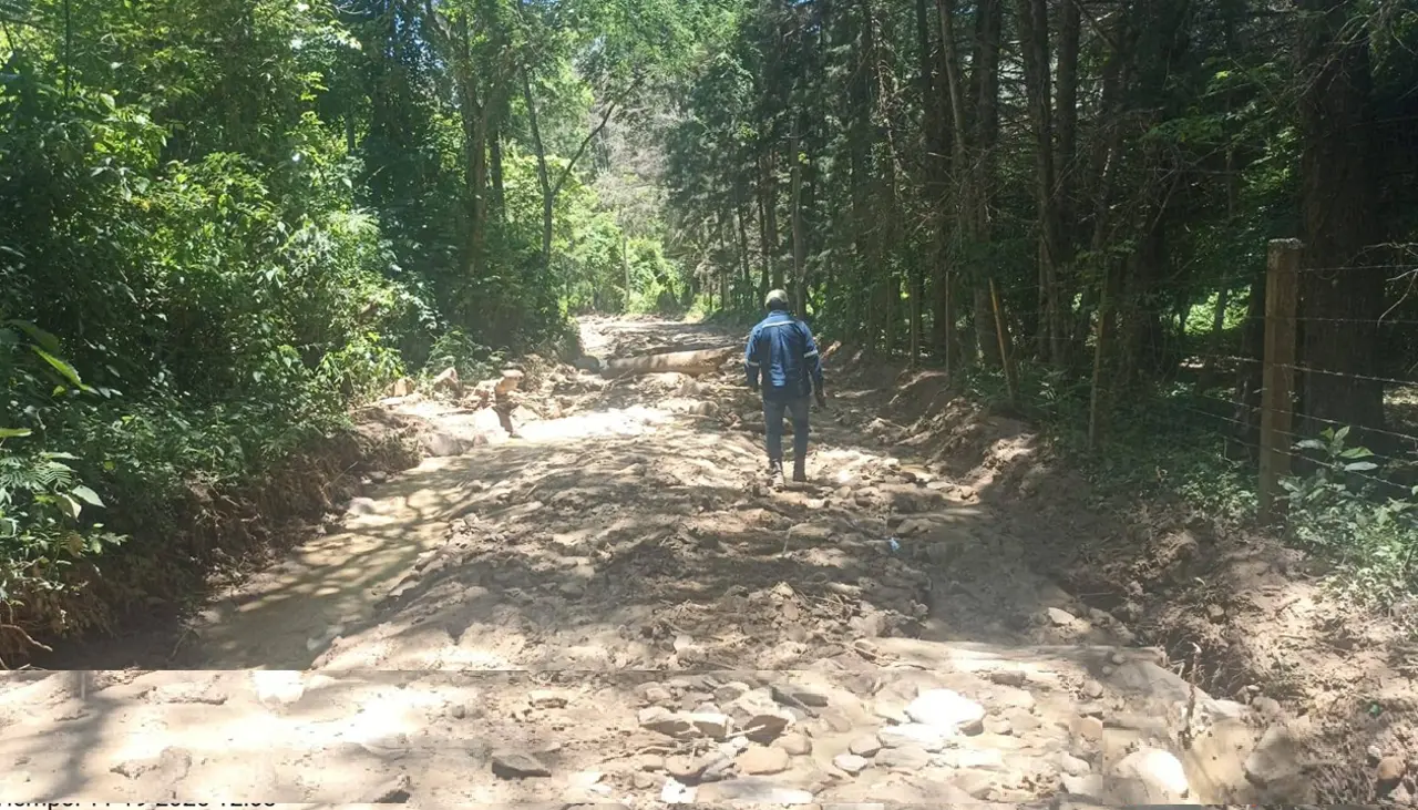 Reportan baja de un 40% en el abastecimiento de alimentos desde los valles cruceños a los mercados