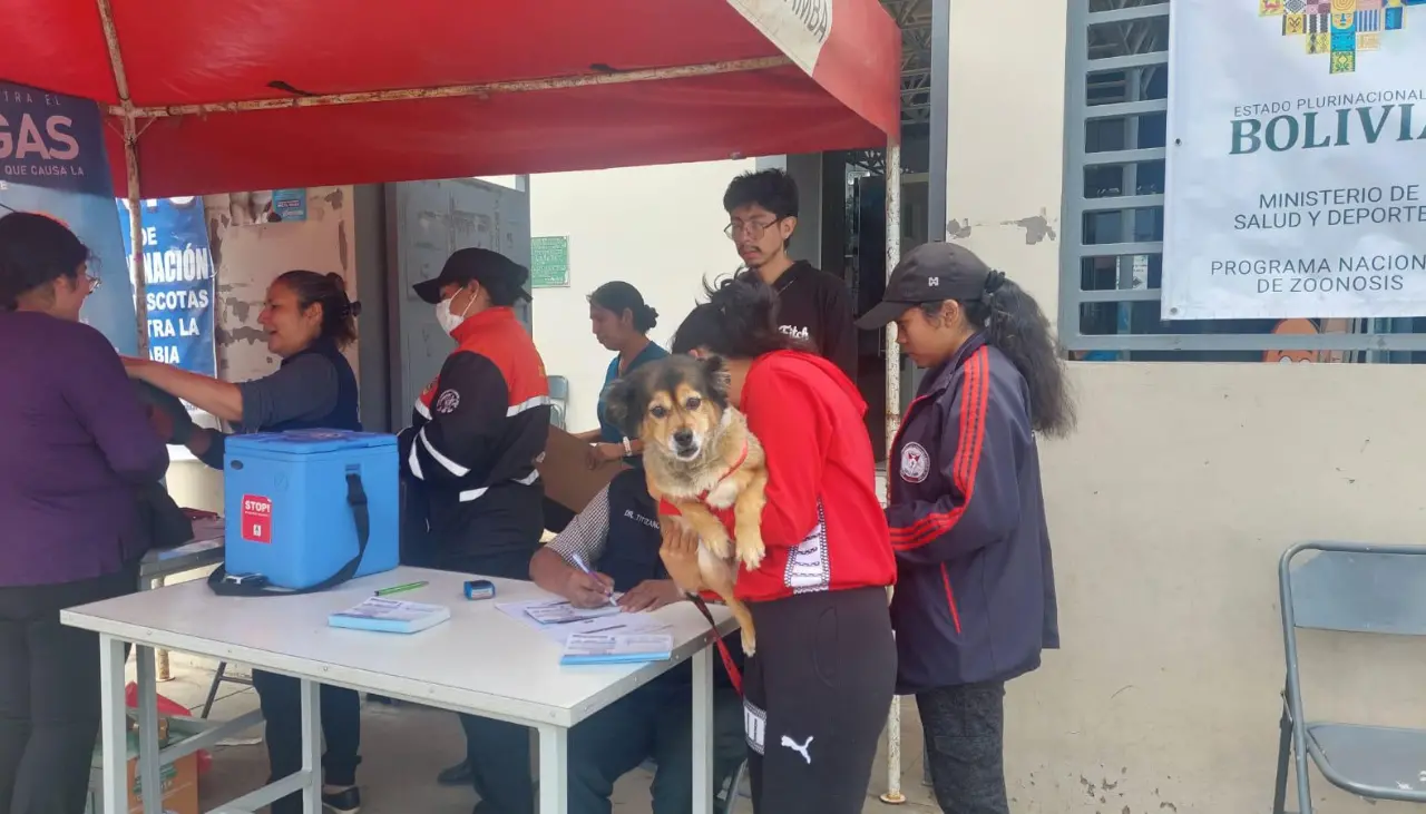 Segunda jornada de vacunación antirrábica se cumple en el Eje Metropolitano de Cochabamba