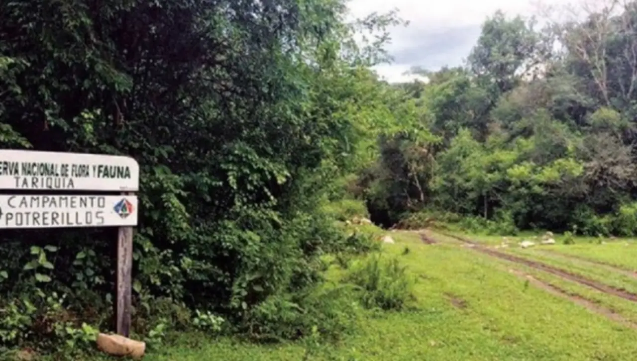 Defensoría: Juzgado ordenó paralizar el proyecto petrolero Domo Oso X-3 en Tariquía