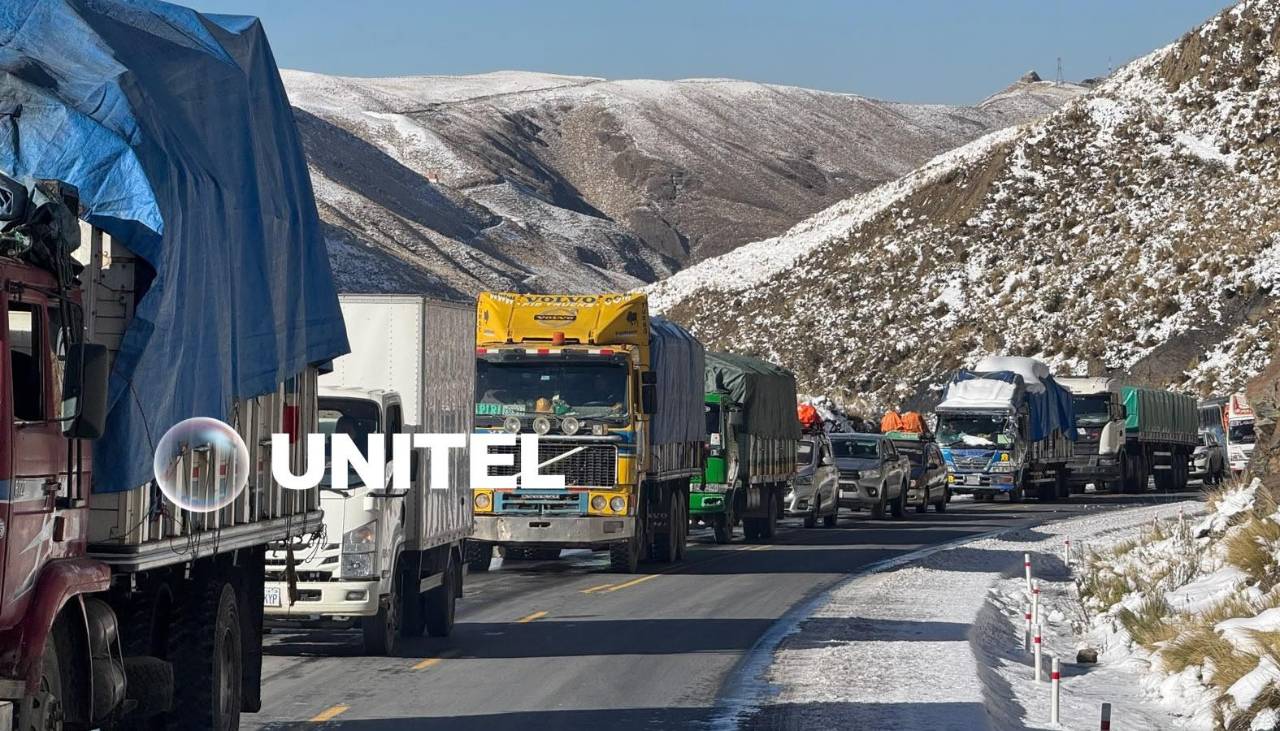 Defensa Civil reporta más de 26.000 familias afectadas por nevadas en tres departamentos del país