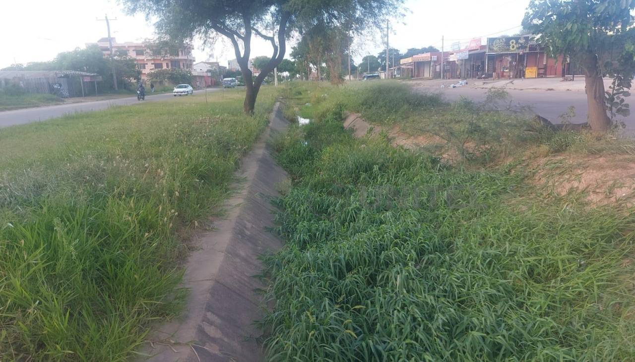 Canal de drenaje está lleno de maleza y basura pese a que ya empezó la época de lluvia; vecinos piden limpieza