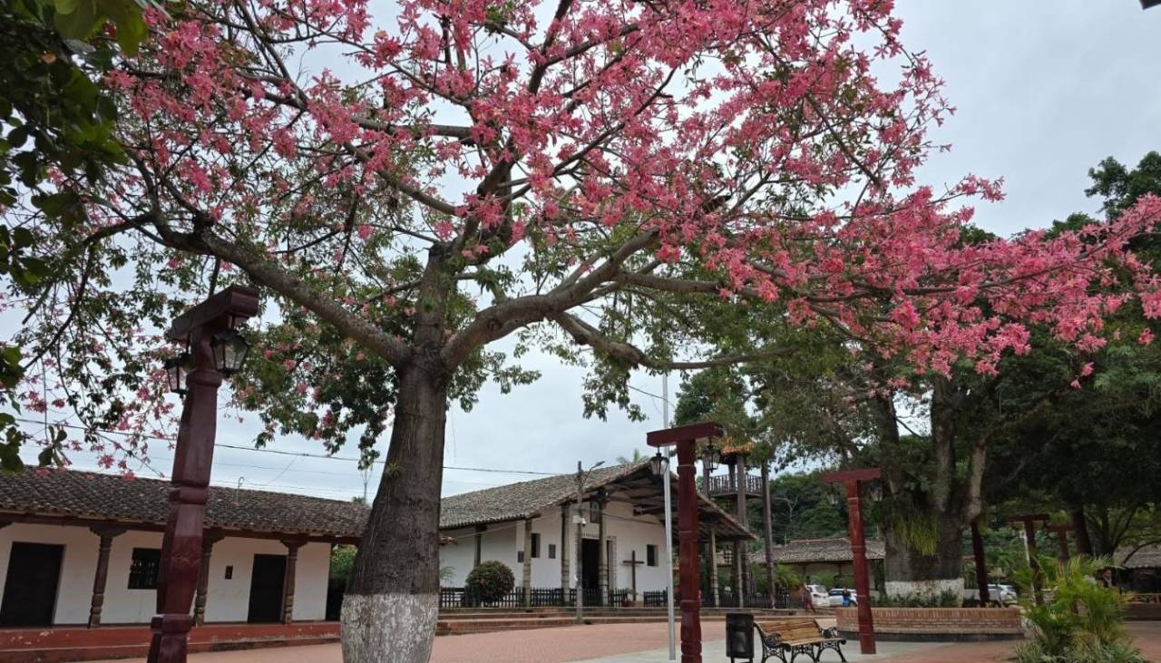 Todo listo para San Juan en Porongo, conozca todas las actividades preparadas para esta festividad