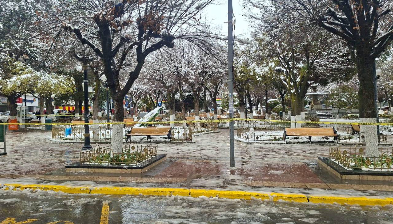 Una mujer muere tras caerle un árbol por el peso de la nieve 