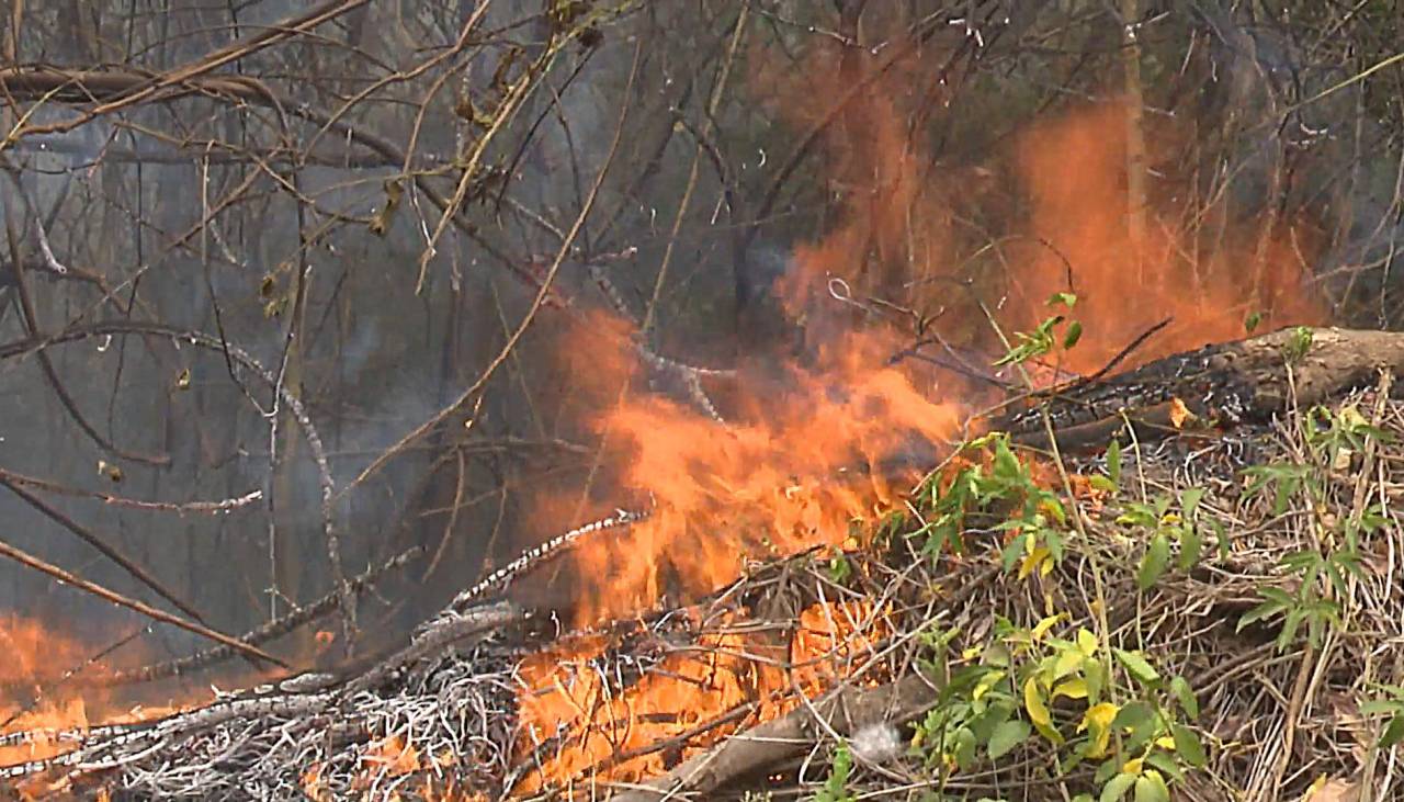 Santa Cruz: La lluvia no llegó a Concepción y los vientos agravaron los incendios 