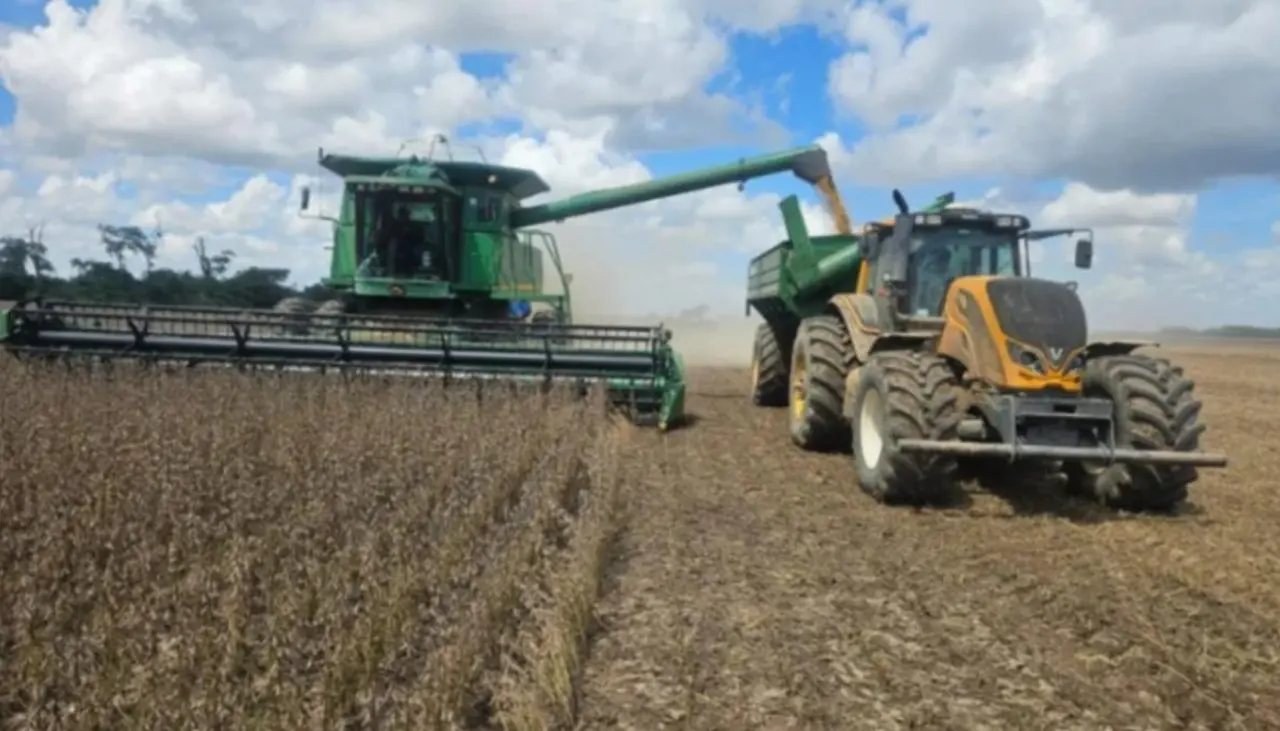 Anapo exige que se identifique y se juzgue a “cabecillas” de una red criminal de robo de soya en la zona norte de Santa Cruz