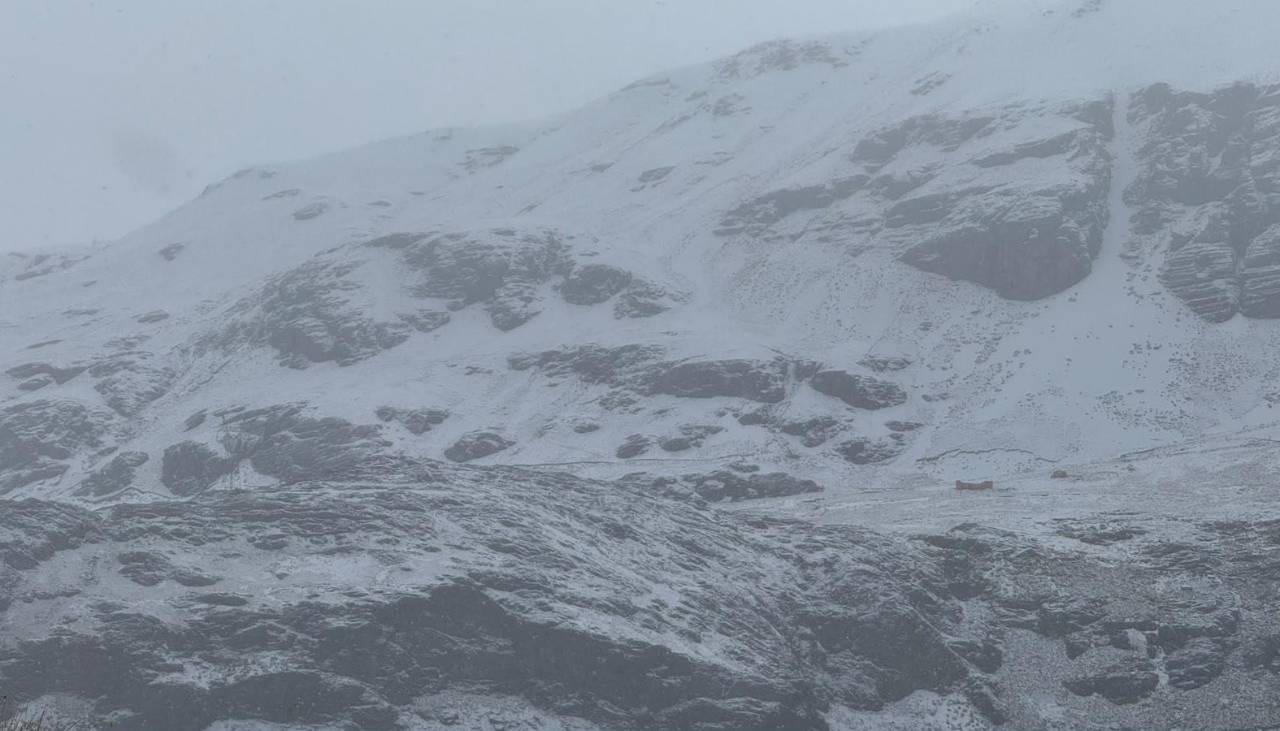 Potosí: San Pablo de Lípez sufre su segunda gran nevada y alcalde pide ayuda para salvar 40.000 camélidos
