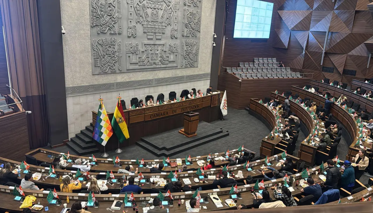 Cámara de Diputados reinstala sesión para tratar el proyecto de ley de elecciones subnacionales a horas del plazo fatal