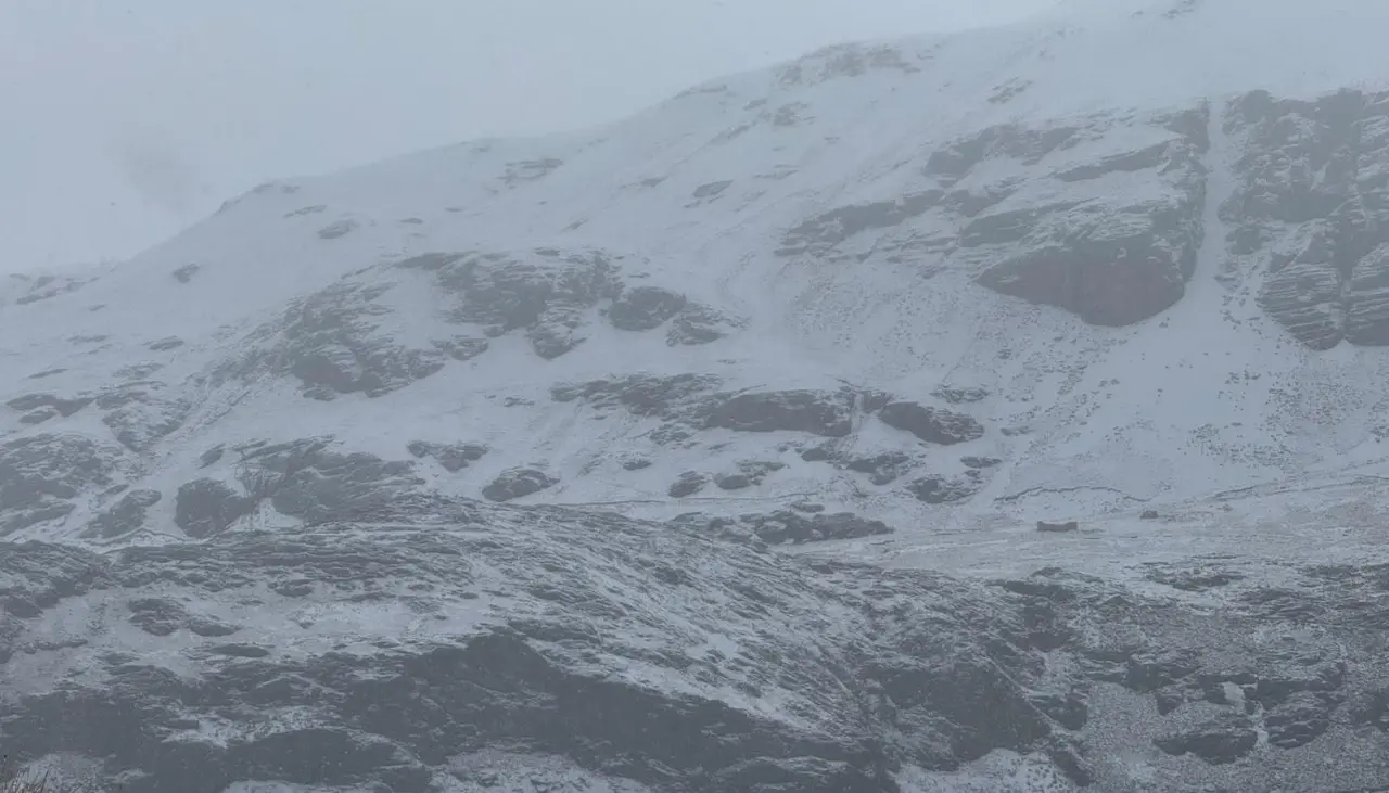 Potosí: San Pablo de Lípez sufre su segunda gran nevada y alcalde pide ayuda para salvar 40.000 camélidos