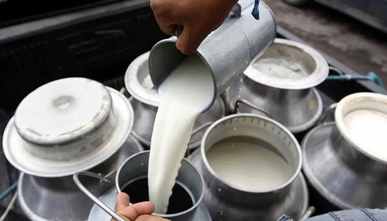 Sector lechero está en emergencia, asegura que los costos de producción superan el precio que reciben por litro de leche