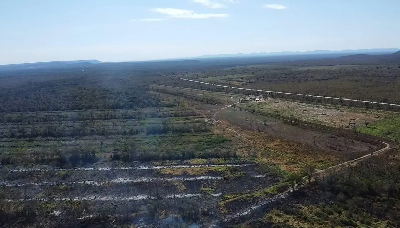 El fuego consume varias hectáreas en los municipios de Carmen Rivero Torrez y San José de Chiquitos