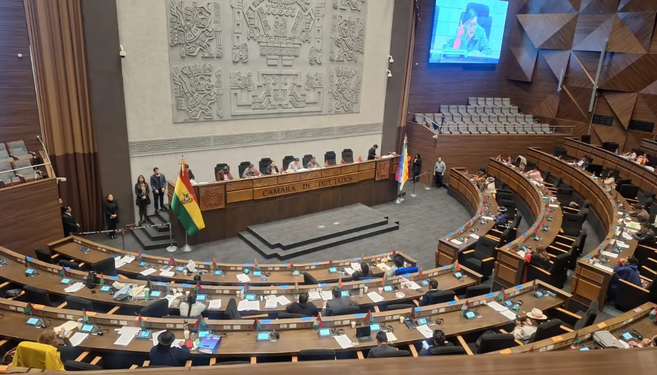 Diputados sesionan por un contrato del litio, se desata la tensión en el hemiciclo y surgen pedidos para aplazar el debate