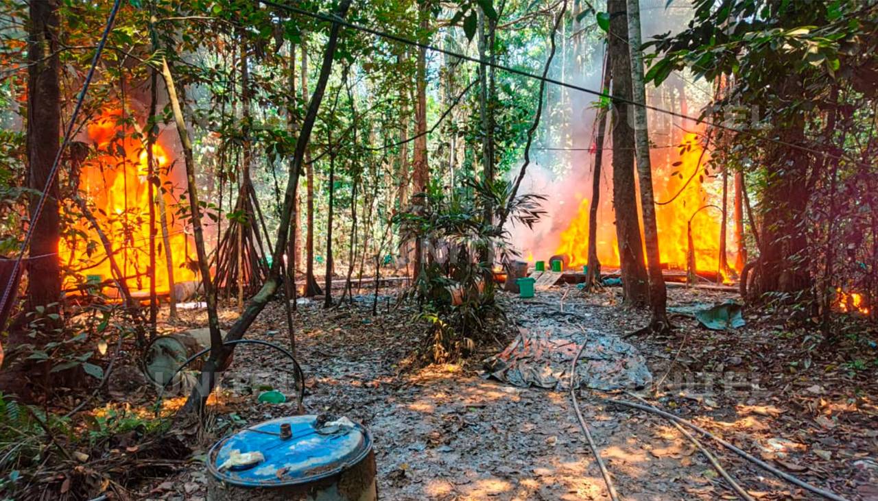 Fuerza antidrogas destruye dos fábricas en el trópico de Cochabamba que producían más de 200 kilos de droga al día 